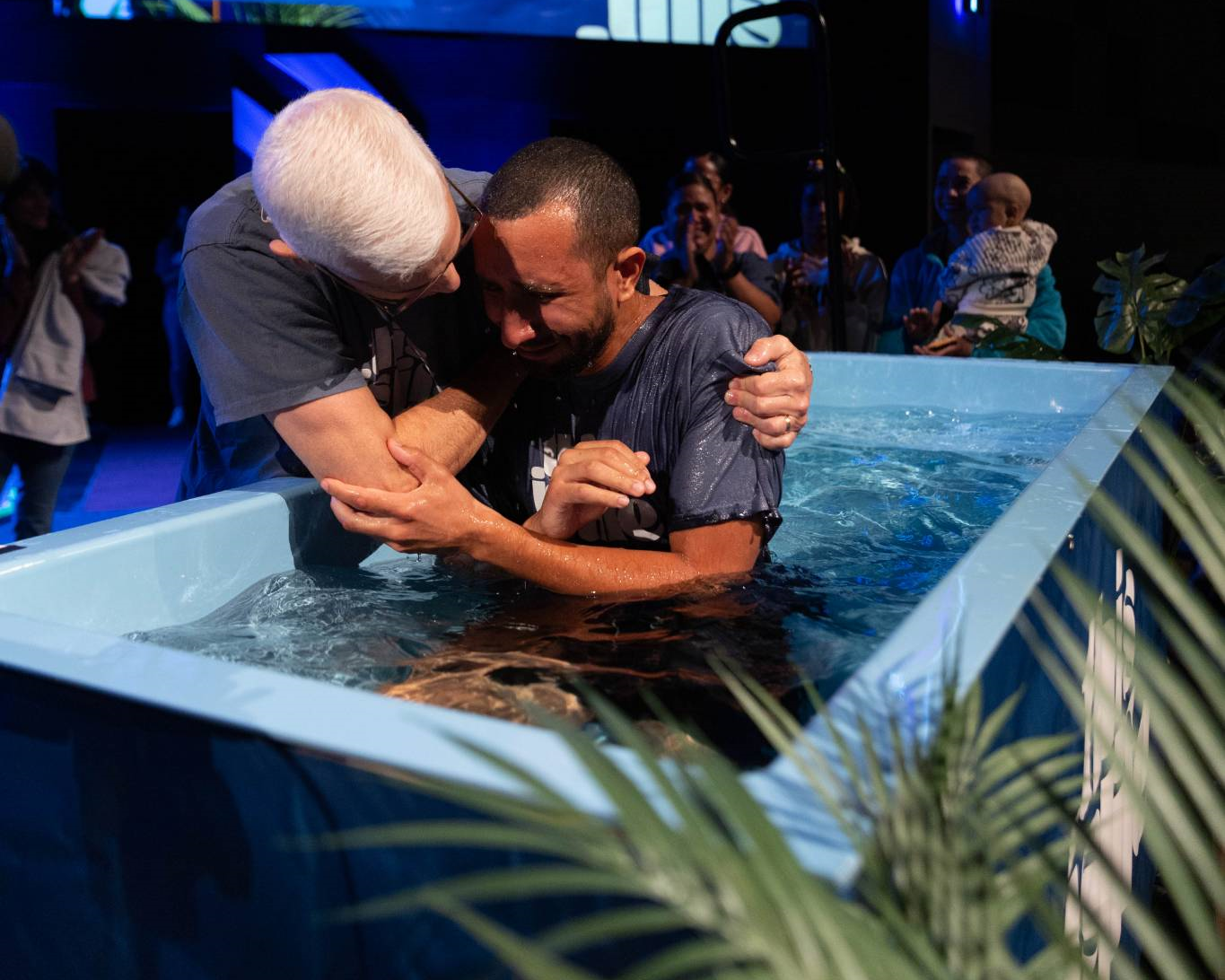 New Light, New Life | Next Step Disciple